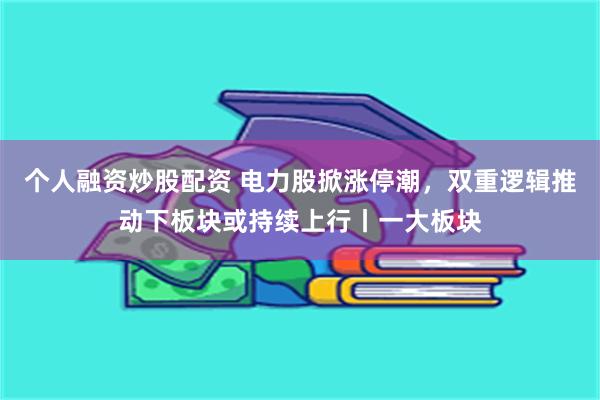 个人融资炒股配资 电力股掀涨停潮，双重逻辑推动下板块或持续上行丨一大板块