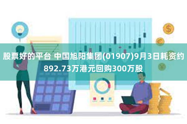 股票好的平台 中国旭阳集团(01907)9月3日耗资约892.73万港元回购300万股