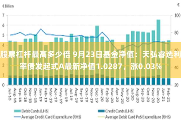 股票杠杆最高多少倍 9月23日基金净值：天弘睿选利率债发起式A最新净值1.0287，涨0.03%