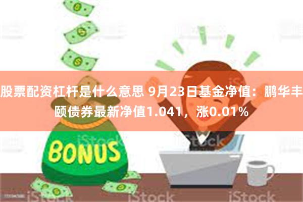 股票配资杠杆是什么意思 9月23日基金净值：鹏华丰颐债券最新净值1.041，涨0.01%