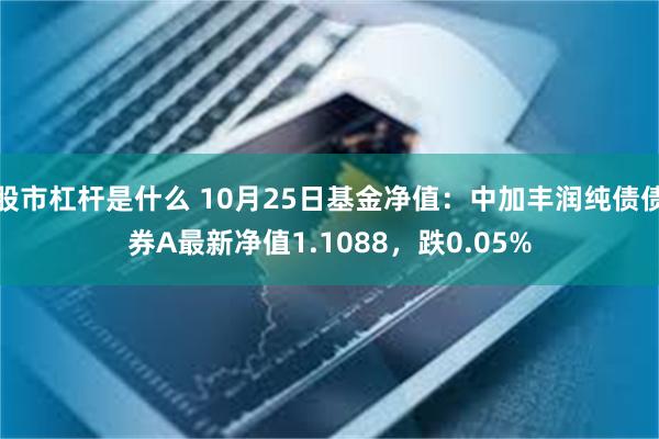 股市杠杆是什么 10月25日基金净值：中加丰润纯债债券A最新净值1.1088，跌0.05%