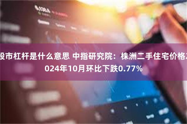 股市杠杆是什么意思 中指研究院：株洲二手住宅价格2024年10月环比下跌0.77%