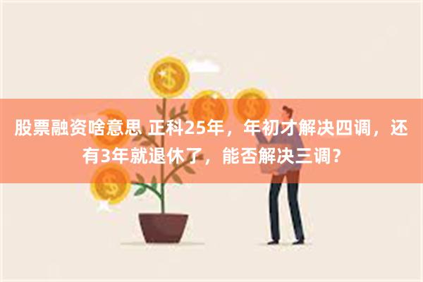 股票融资啥意思 正科25年，年初才解决四调，还有3年就退休了，能否解决三调？